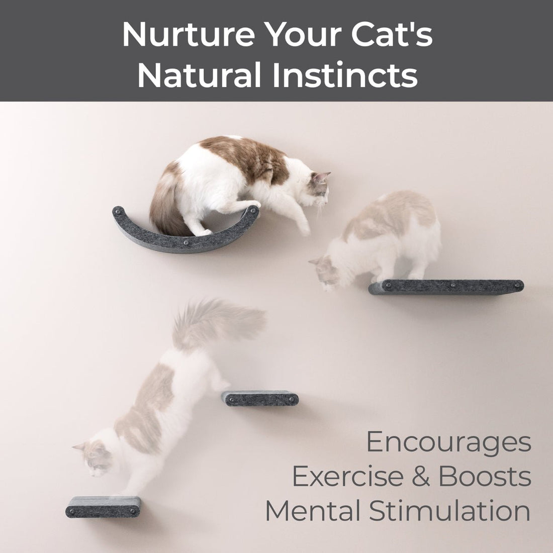 Set of 4 Charcoal Cat Climbers - Pryde Pets