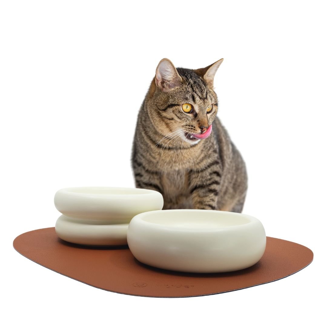Complete Dining Set with Reversible Chestnut & Navy Dining Mat - Pryde Pets