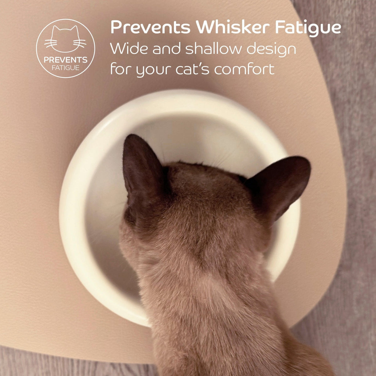 Complete Dining Set with Reversible Charcoal & Oatmeal Dining Mat - Pryde Pets