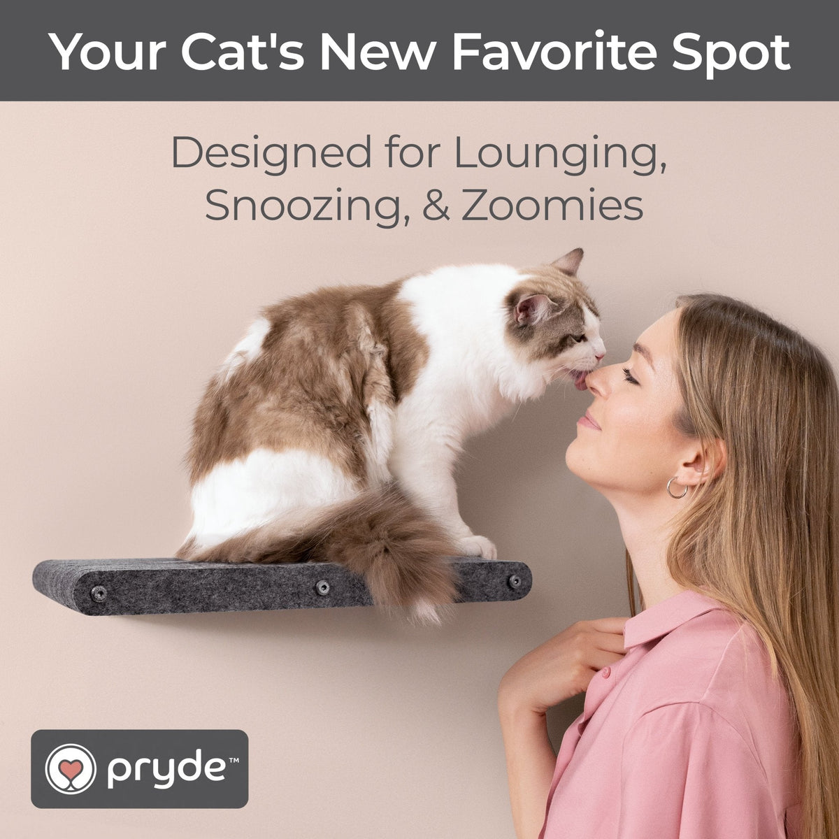Charcoal Long Lounger Cat Climber - Pryde Pets