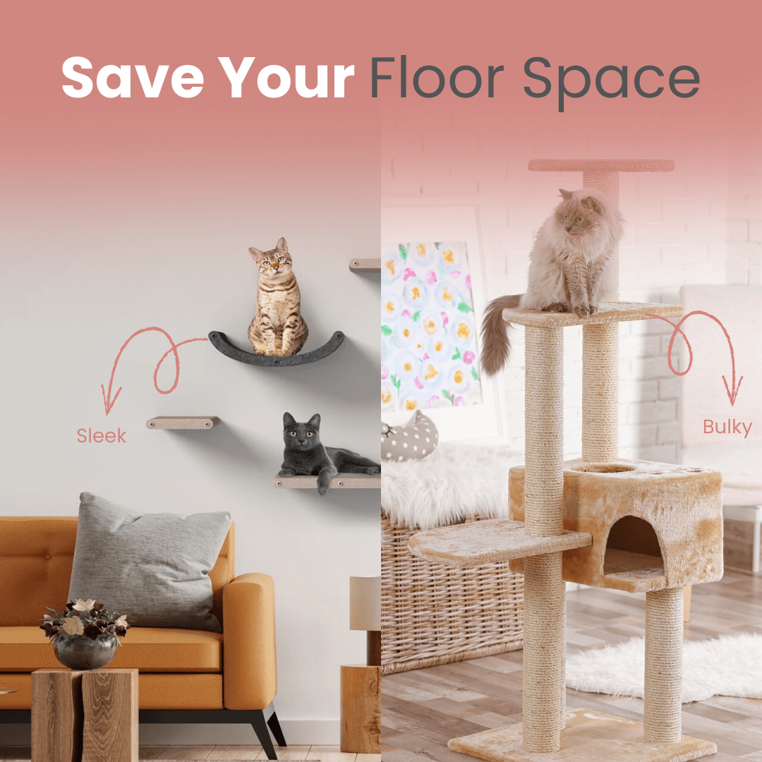 Cat Trees vs Cat Shelves - Pryde Pets
