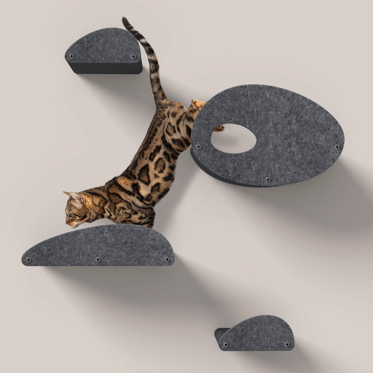 Climbers with Facades - Pryde Pets | prydepets.com.au