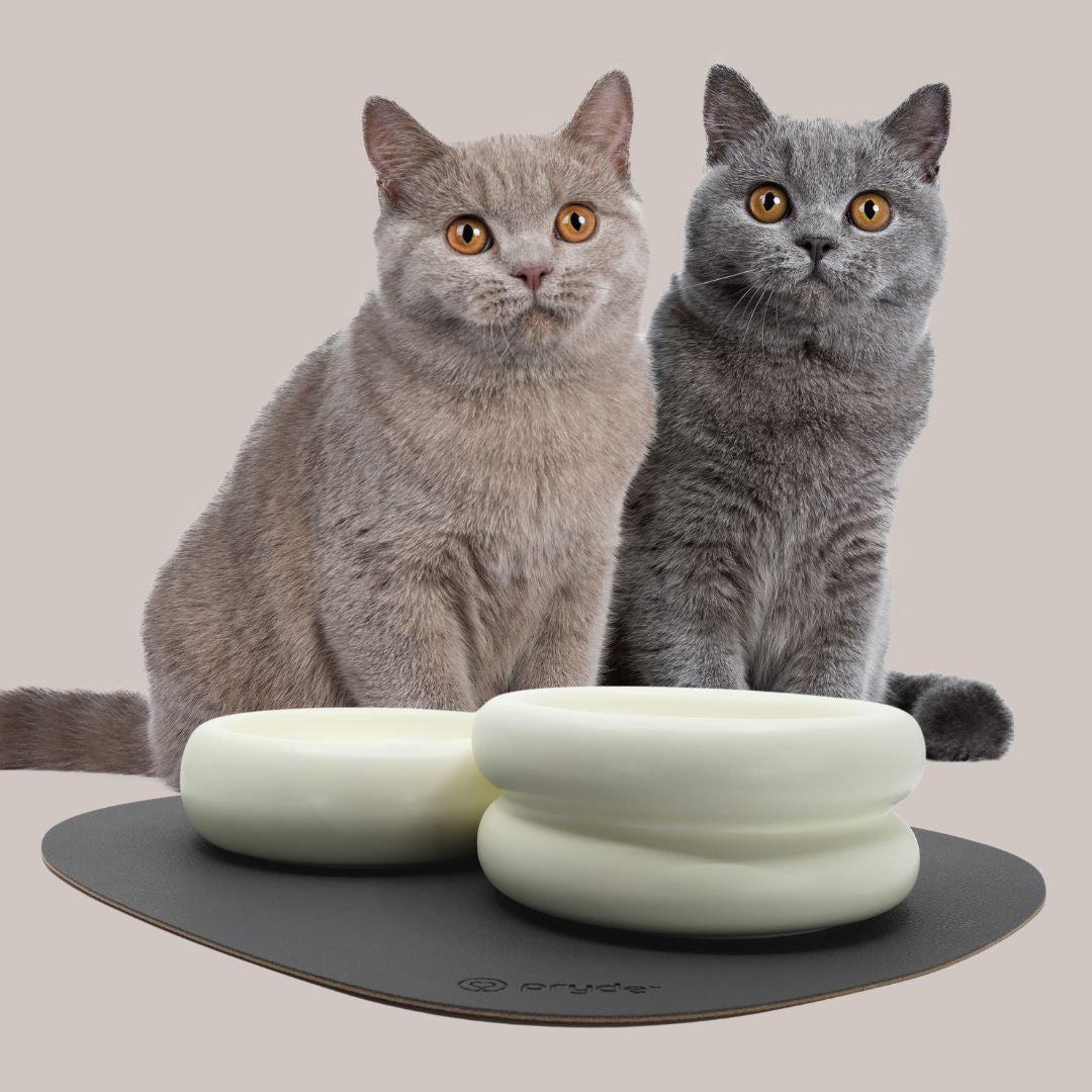 Dining - Pryde Pets