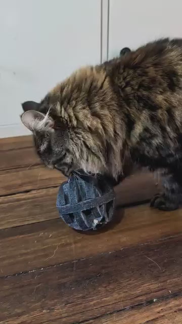 Pounce Orb - Treat &amp; Sensory Enrichment Ball (Charcoal)