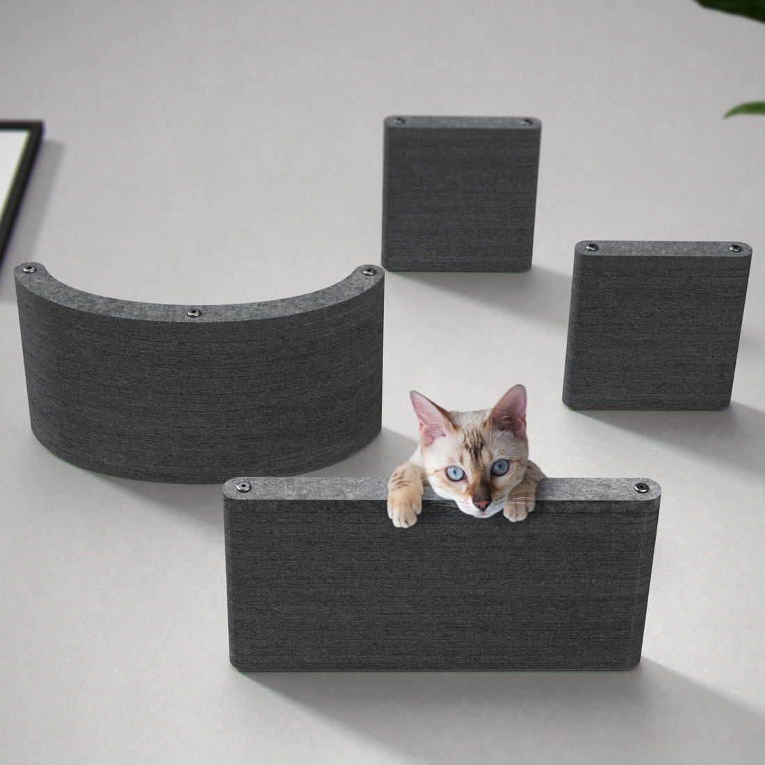 Set of 4 Charcoal Cat Climbers - Pryde Pets