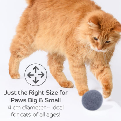 Claw - some Felt Wool Balls (Set of 5) - Pryde Pets
