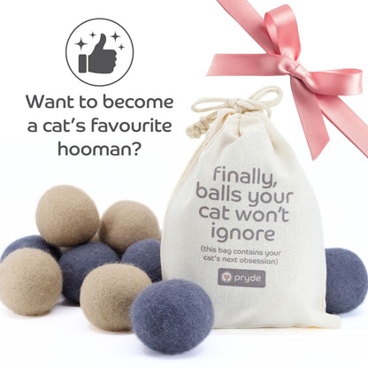 Claw - some Felt Wool Balls (Set of 5) - Pryde Pets