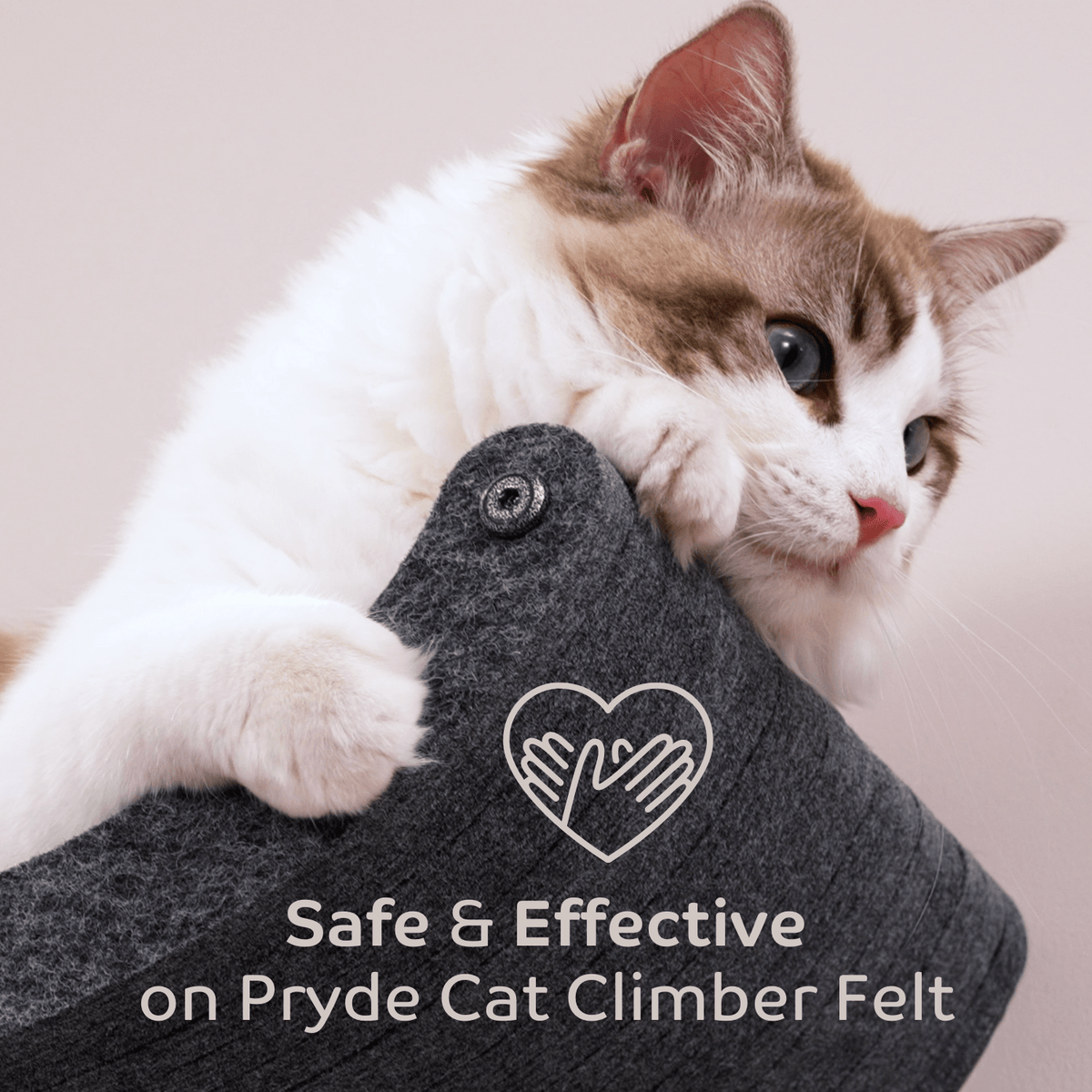 The Fur - nomenal Fur Remover - Pryde Pets