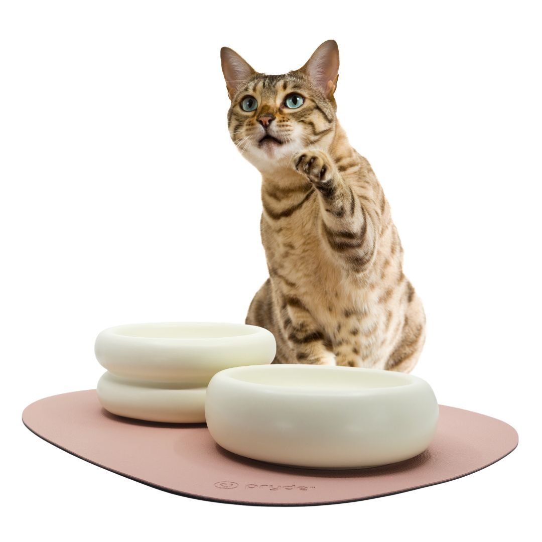 Complete Dining Set with Reversible Blush &amp; Charcoal Dining Mat - Pryde Pets