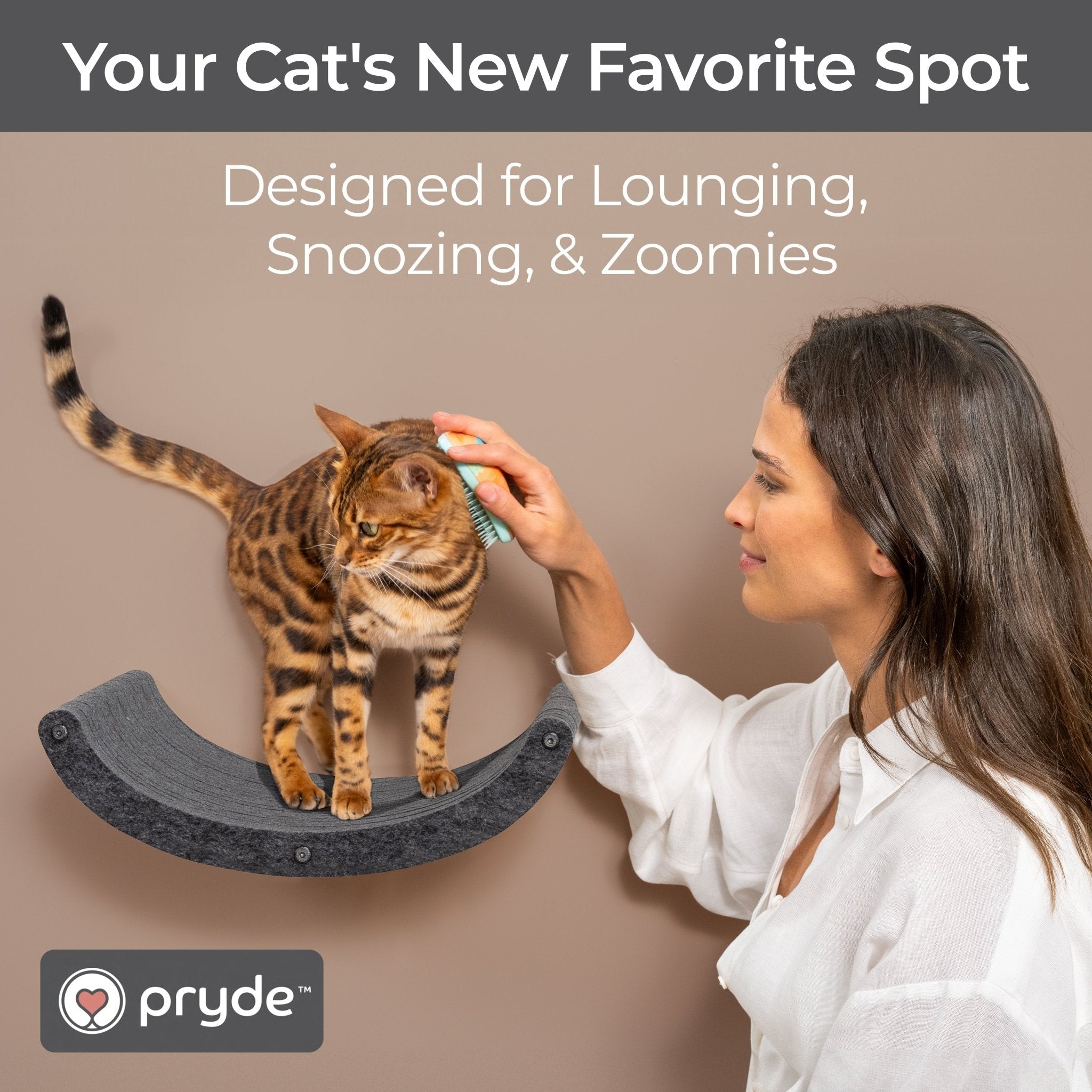 Charcoal Curved Nest Cat Climber - Pryde Pets
