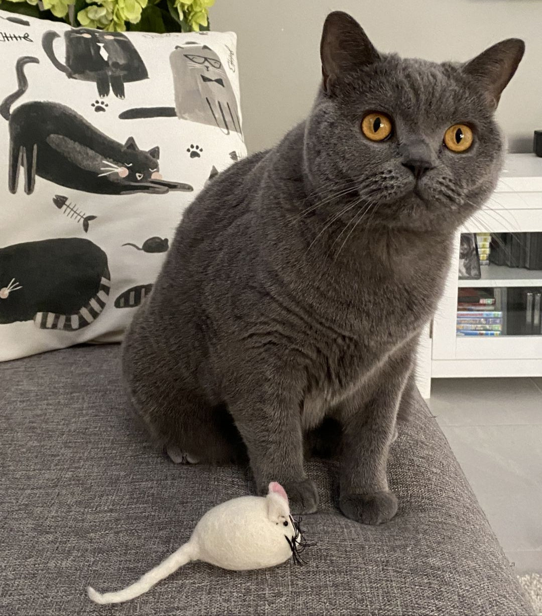 Handmade Felt Mouse Toy - White - Pryde Pets
