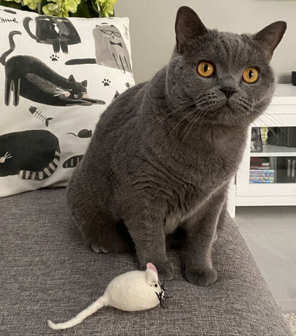 Handmade Felt Mouse Toy - White - Pryde Pets