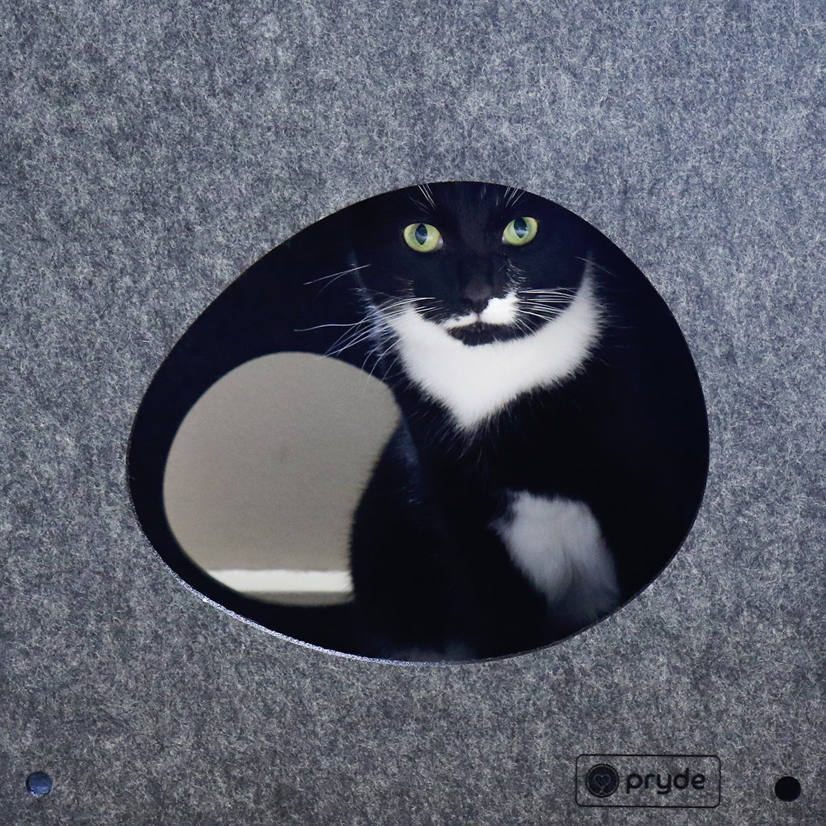 Modular Cat Cube (Charcoal) - Pryde Pets