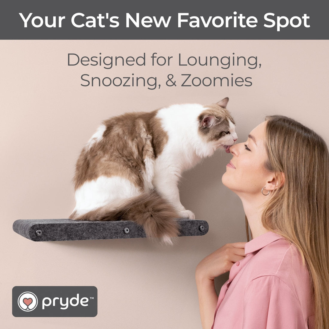 Charcoal Long Lounger Cat Climber - Pryde Pets