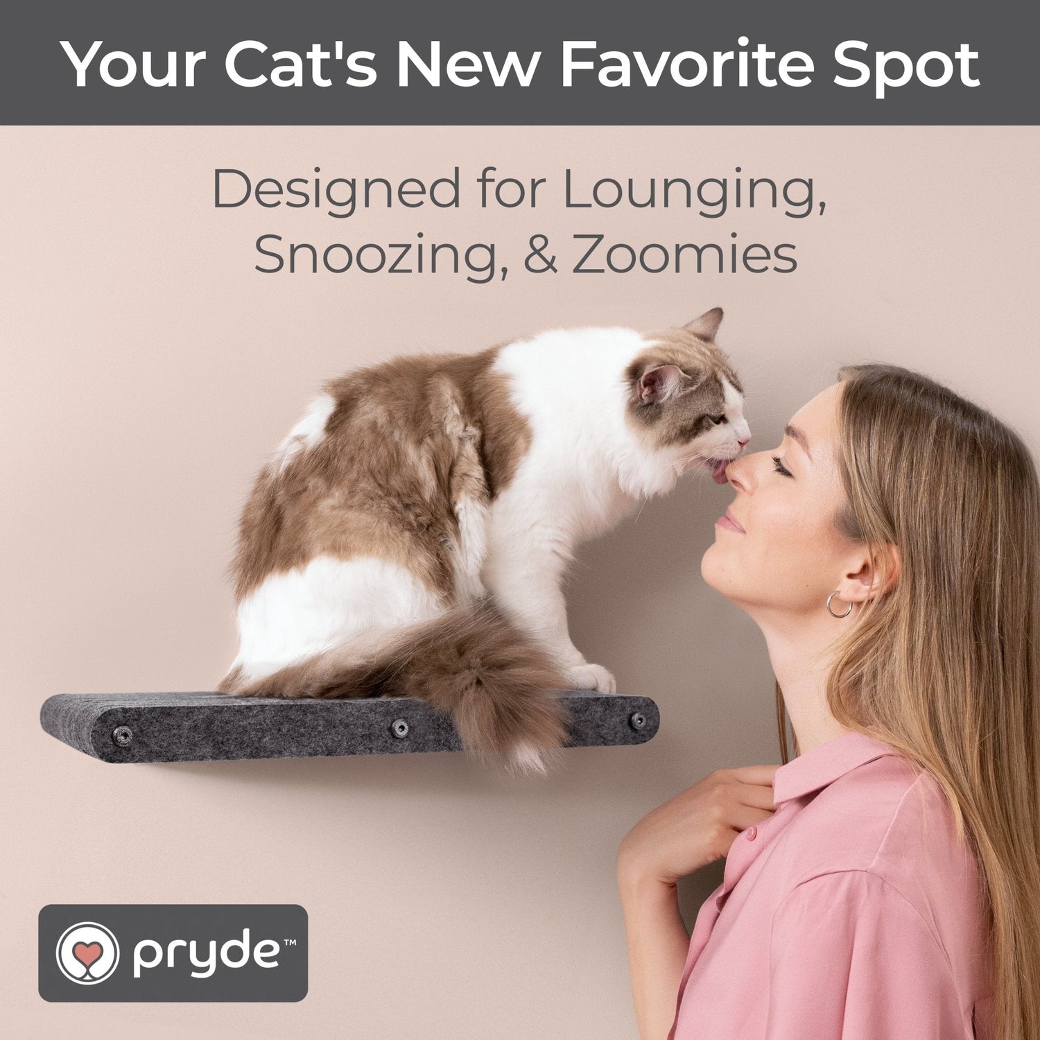Charcoal Long Lounger Cat Climber - Pryde Pets