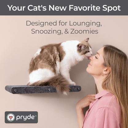 Charcoal Long Lounger Cat Climber - Pryde Pets