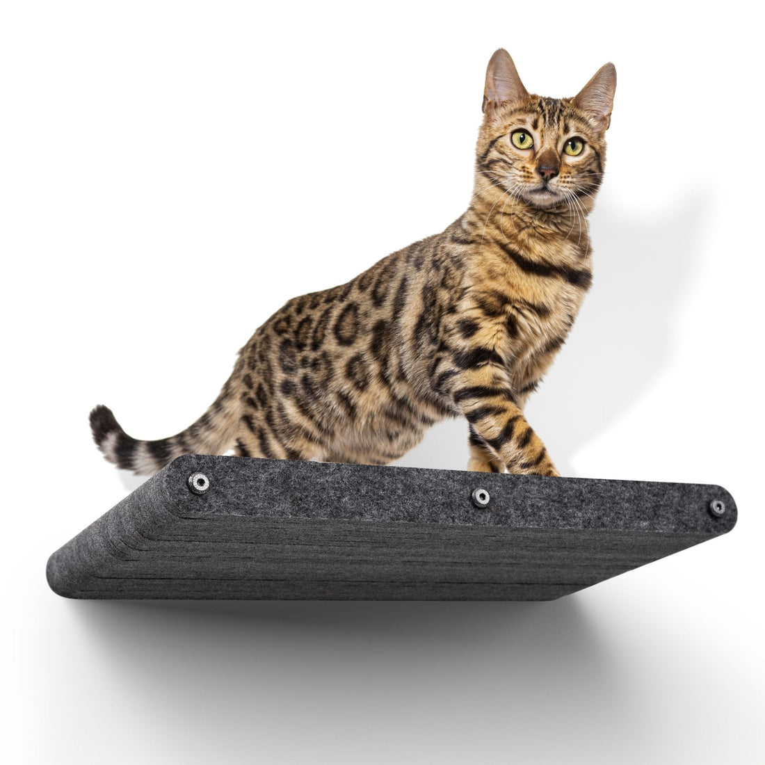 Charcoal Long Lounger Cat Climber - Pryde Pets