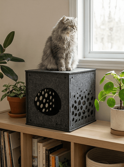 Modular Cat Cube (Charcoal) - Pryde Pets