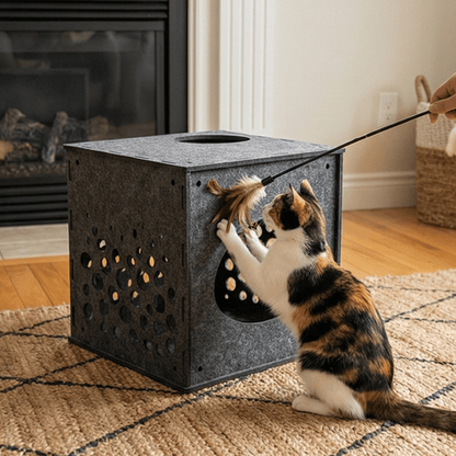 Modular Cat Cube (Charcoal) - Pryde Pets