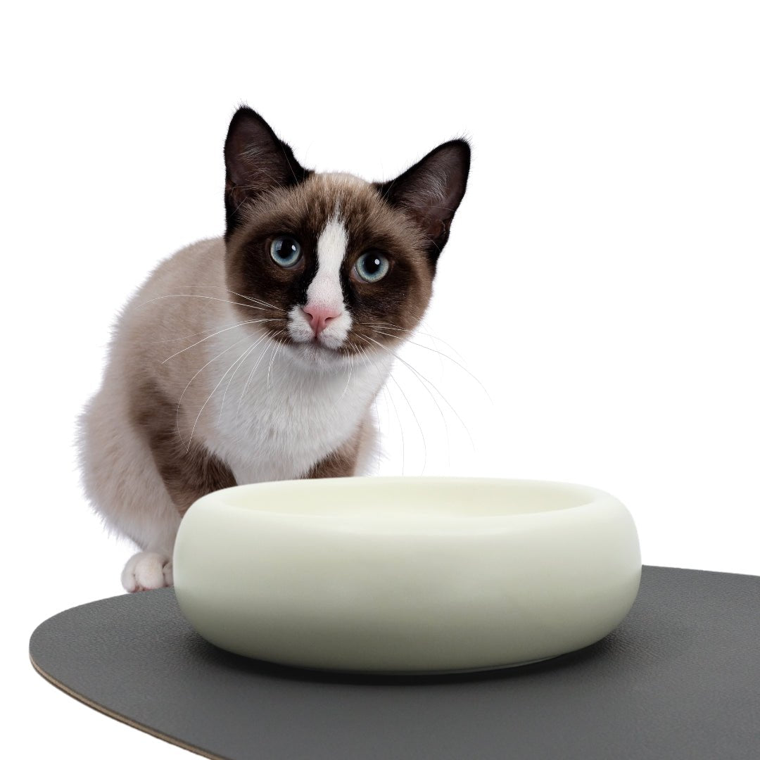 Ceramic Dining Bowl - Pryde Pets